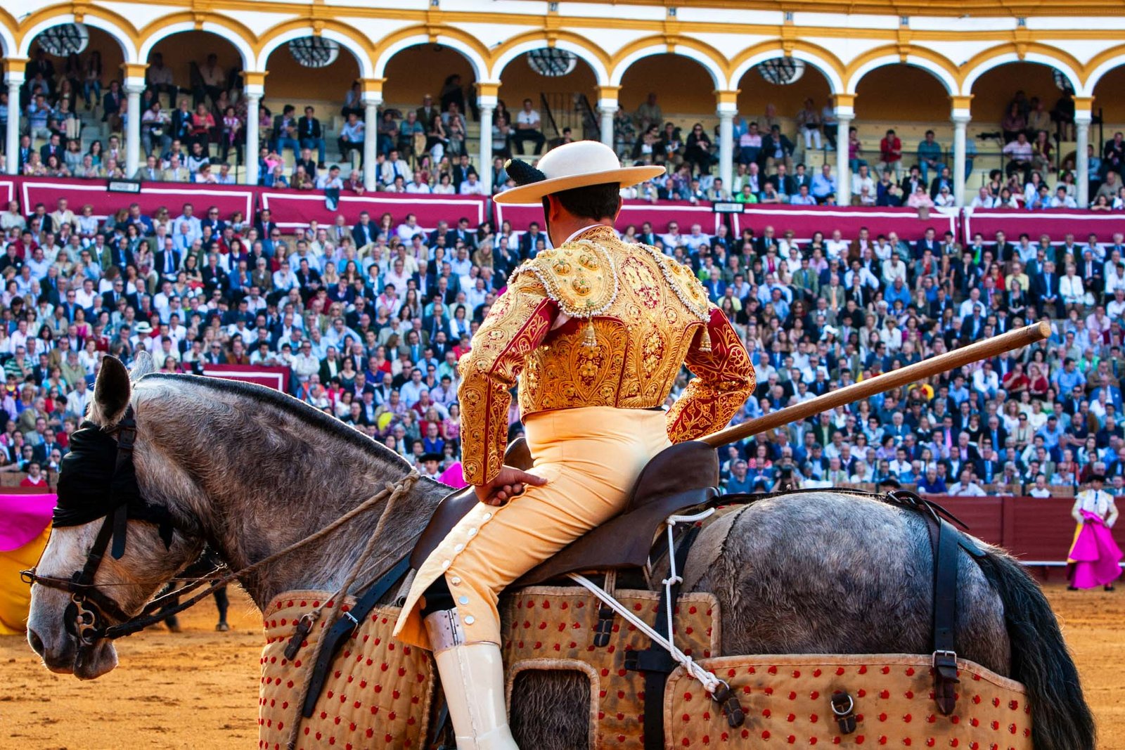 caballos de picar enrique peña, cuadra de caballos de picar centenaria