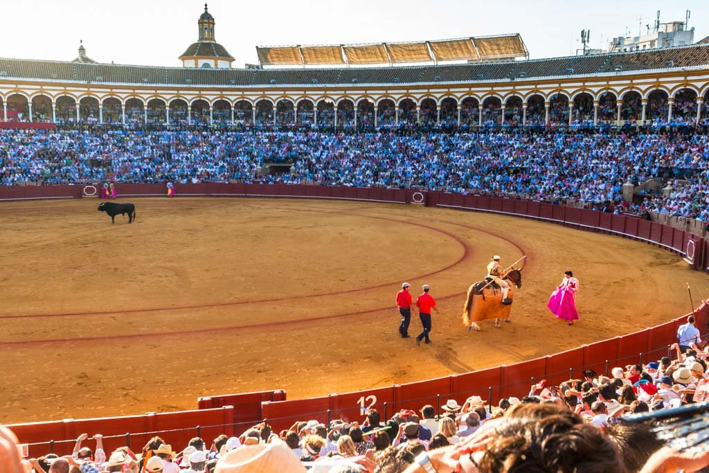 caballos de picar enrique peña, cuadra de caballos de picar centenaria