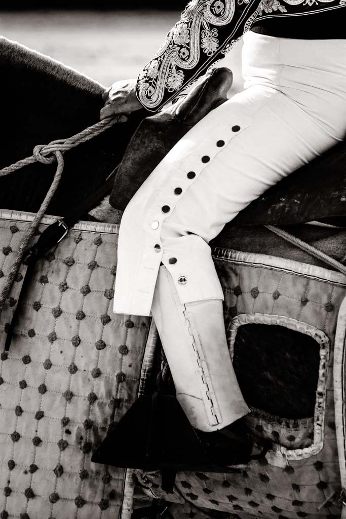 caballos de picar enrique peña, cuadra de caballos de picar centenaria