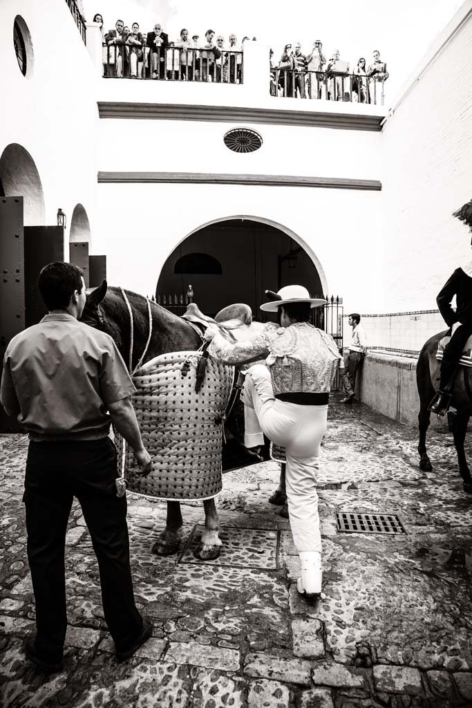 caballos de picar enrique peña, cuadra de caballos de picar centenaria
