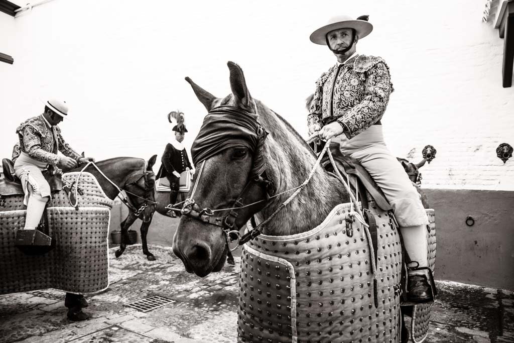 caballos de picar enrique peña, cuadra de caballos de picar centenaria
