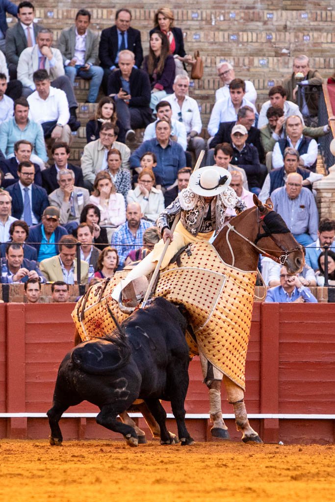 caballos de picar enrique peña, cuadra de caballos de picar centenaria